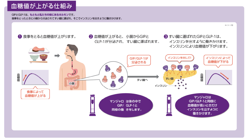 血糖値が上がる仕組み